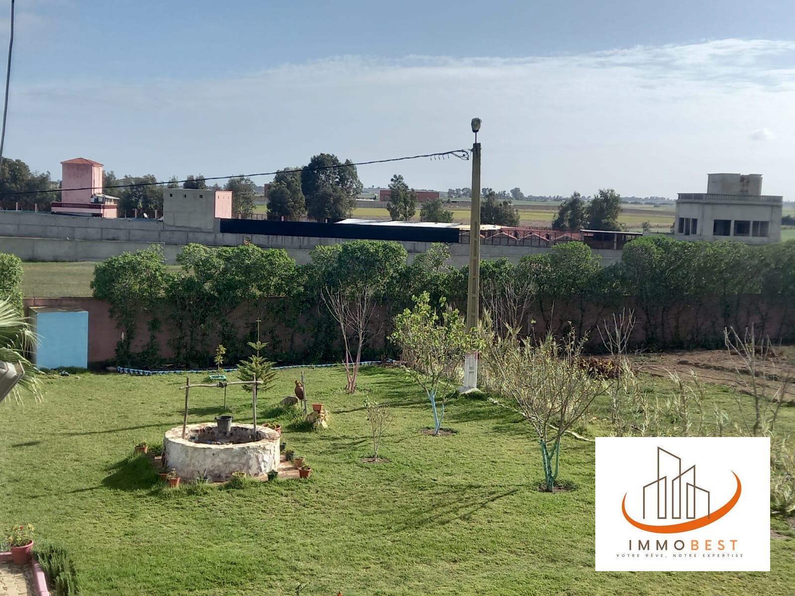 Ferme en vente à Bsabes, après Mansouria proche Benslimanbe 10000 m² — 5