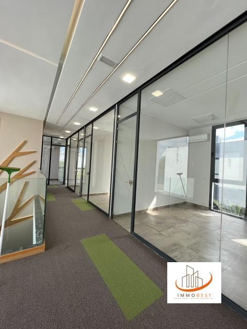 VENTE Villa exceptionnelle à usage professionnel de 4 niveaux. — 6