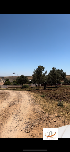 Terrain à Saiss — 7