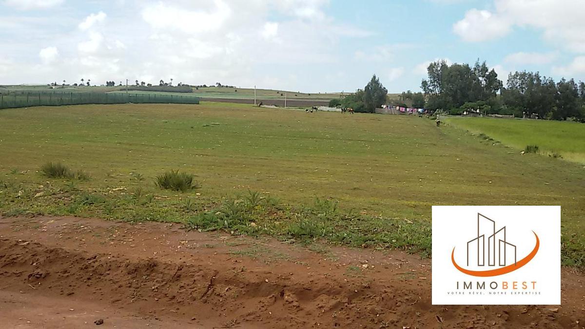 Terrain titré à vendre de 10 000 m² (1 Hectare), pour ferme ou maison secondaire, à Tnine Chtouka — 3