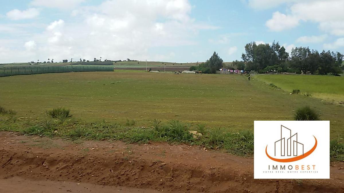 Terrain titré à vendre de 10 000 m² (1 Hectare), pour ferme ou maison secondaire, à Tnine Chtouka — 6