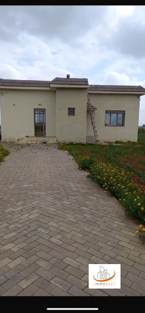 Terrain 1850 m² à Oulad Said — 7