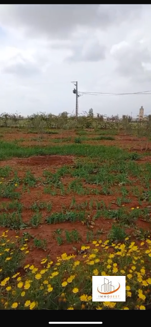 Vente d’une ferme 11850 m2 (2 hectares environ) à Victoria route Oulad Said
