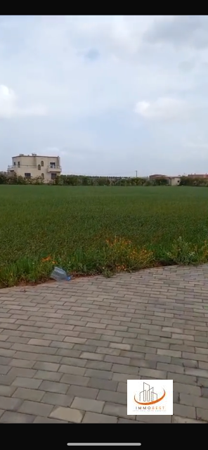 Vente d’une ferme 11850 m2 (2 hectares environ) à Victoria route Oulad Said — 3