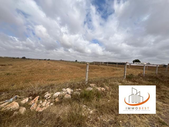 Sidi Rahal, vente d’un terrain agricole 10539 m²