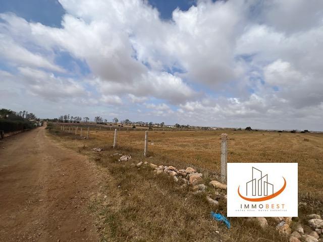 Sidi Rahal, vente d’un terrain agricole 10539 m² — 2