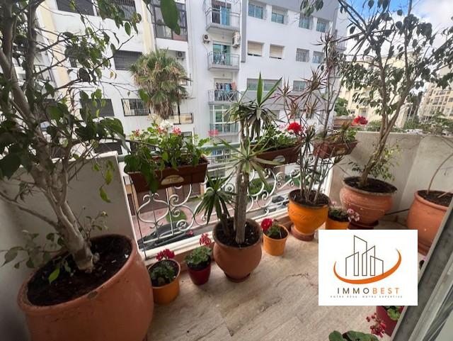 Appartement 185 m² à 2 Mars — 9