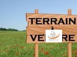 El jadida, terrains en vente sur la route jarf lasfar 3120 m²