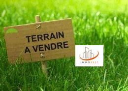 El jadida, terrains en vente sur la route jarf lasfar 3120 m² — 4