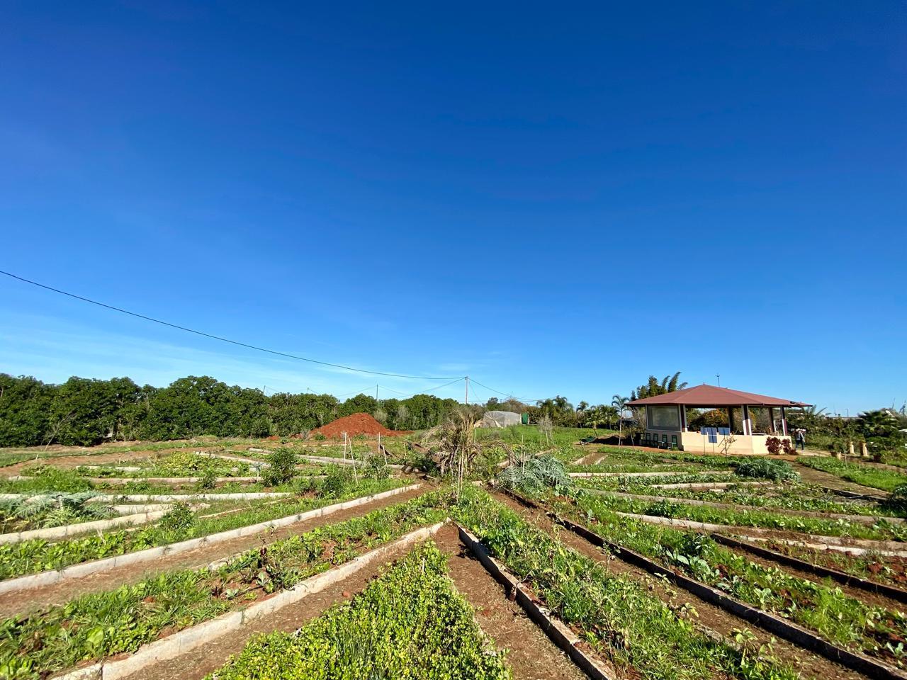 Ferme équipée à vendre ( Bouznika) — 3
