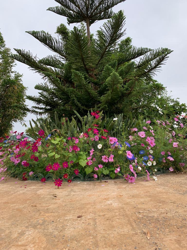 أرض في Bouznika — 9