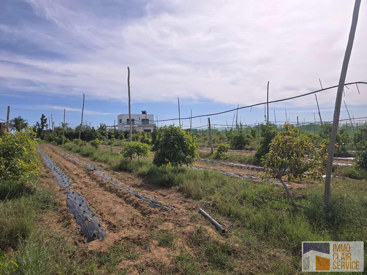 Bien 10000 m² à Sidi Allal el Bahraoui — 3