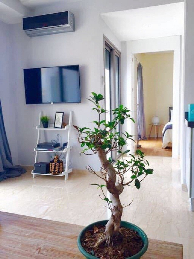 Studio neuf à louer de 50 m² Gauthier — 6