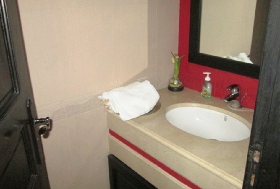 Très bel appartement de 197 m² - Racine — 4