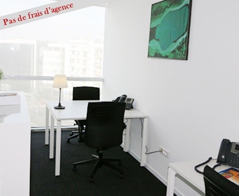 Bureaux privés et partagés meublés - Twin Center