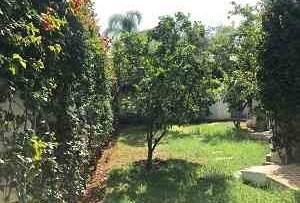 Villa 340 m² f Oasis — 7