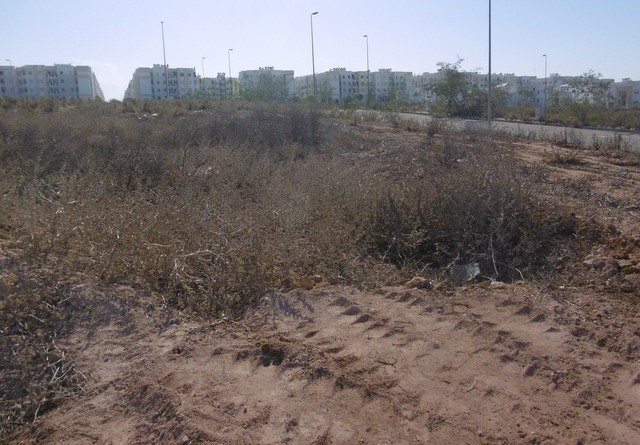 Terrain 161 m² à vendre, Dar Bouazza, Casablanca — 3