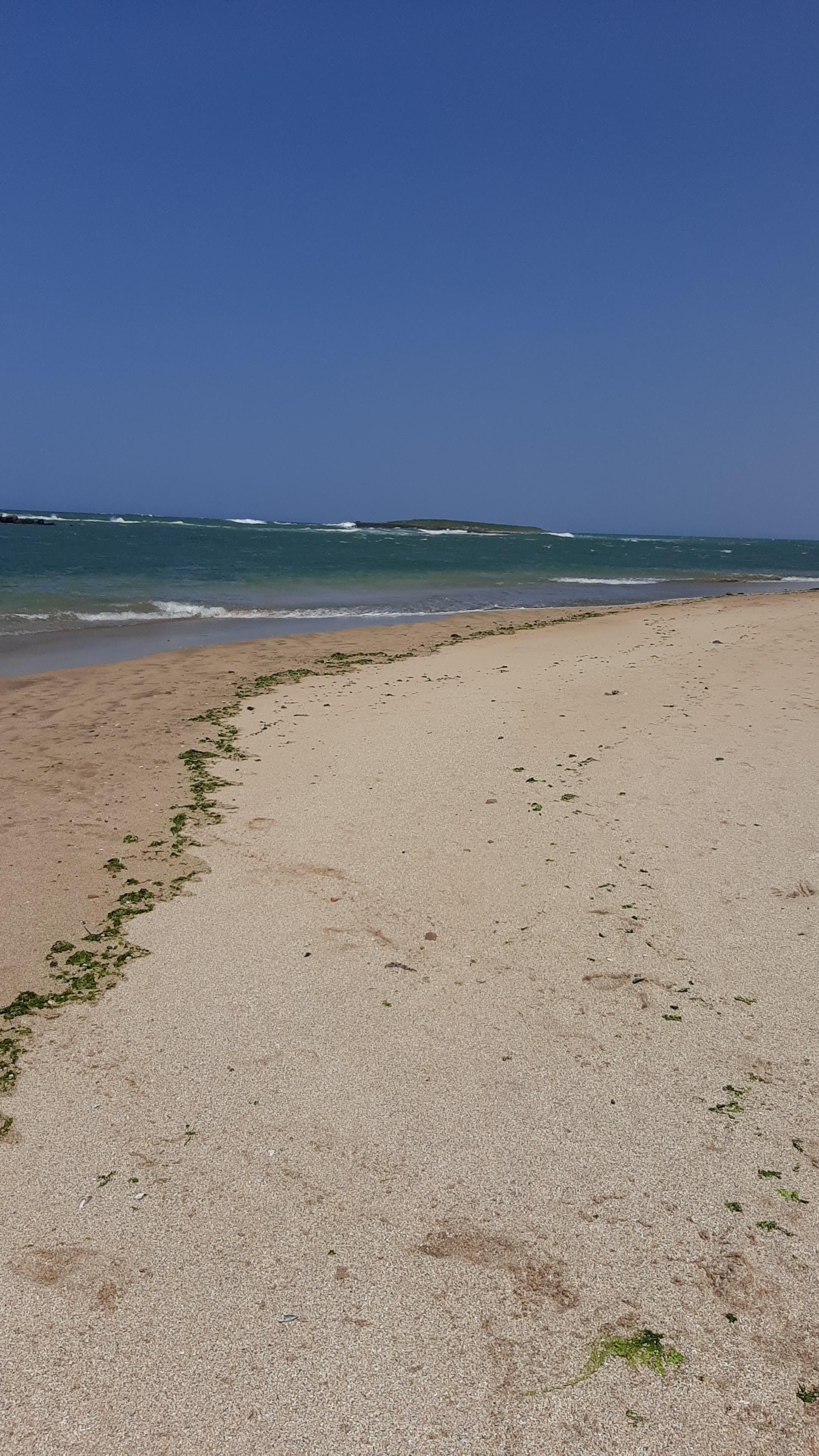 Très beau terrain à 80m de la plage de Skhirat plan autorisé