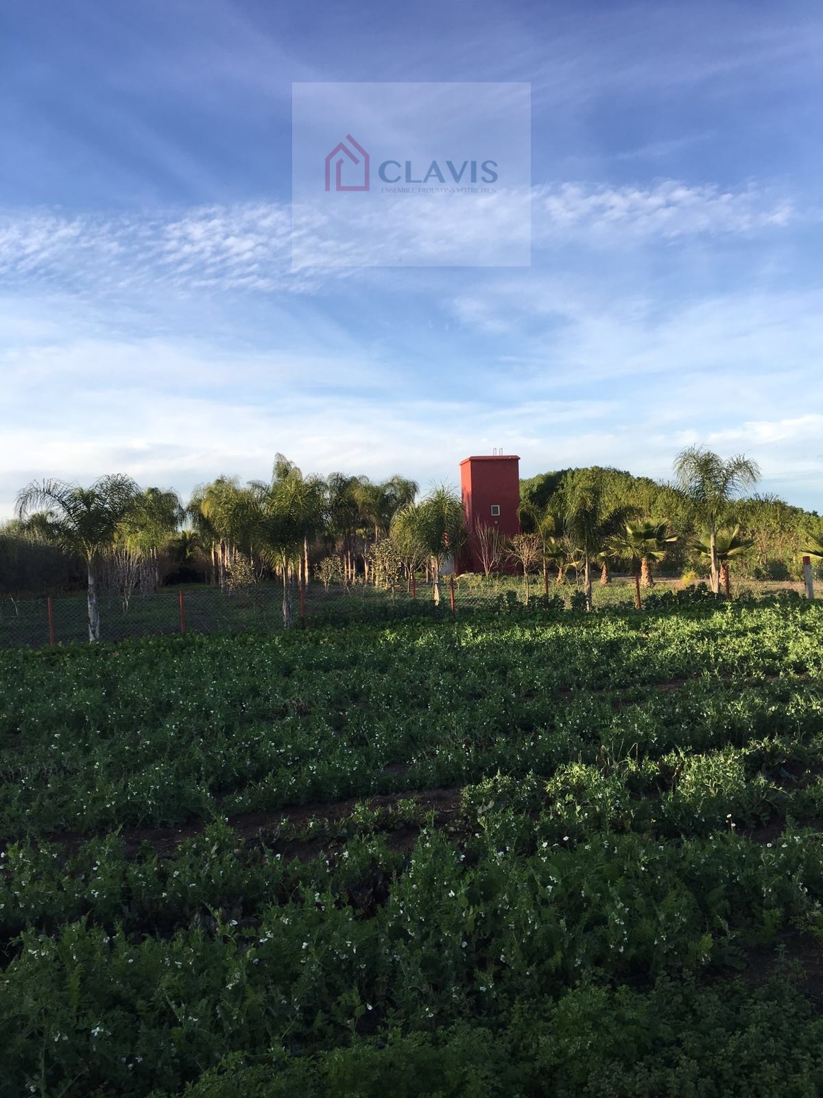 Ferme avec villa Benslimane