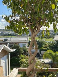Bel appartement à la ville verte Bouskoura — 2