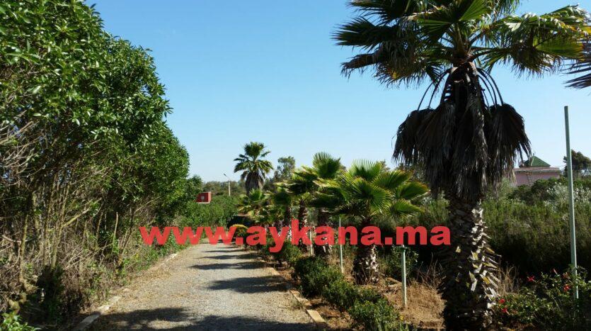 Vente Ferme Benslimane REF 3624