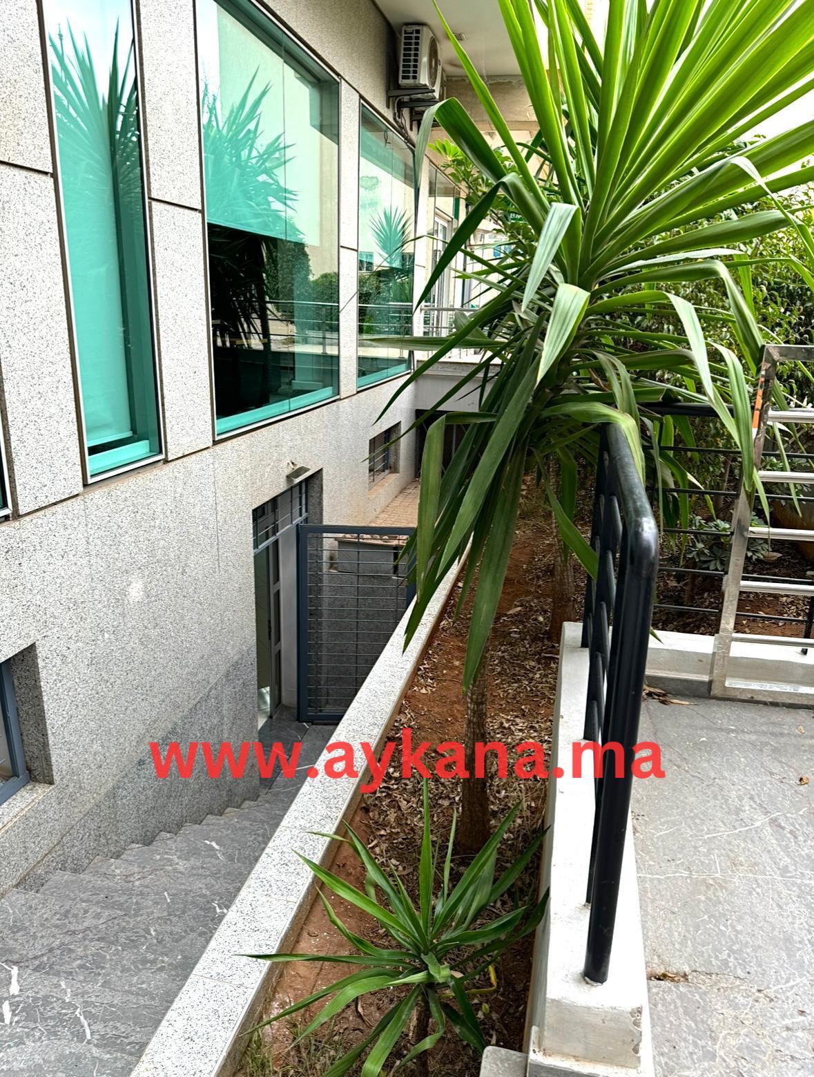 Local Bureau 142m² à Vendre – Avenue Ben Barka &amp; avenue Annakhil — 3