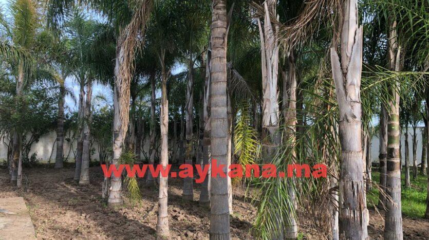 Vente Ferme Skhirat REF 3560 — 3