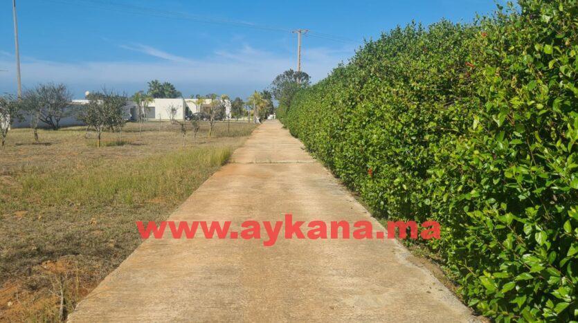 Vente Ferme Skhirat REF 3560 — 2