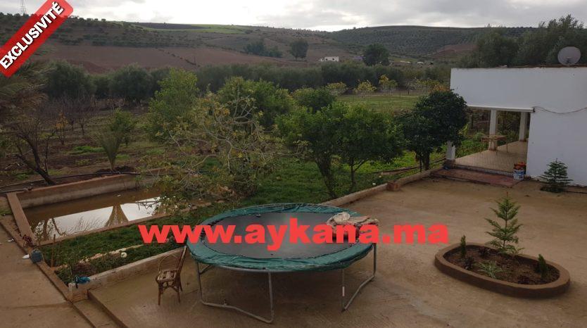 Vente Ferme Tiflet