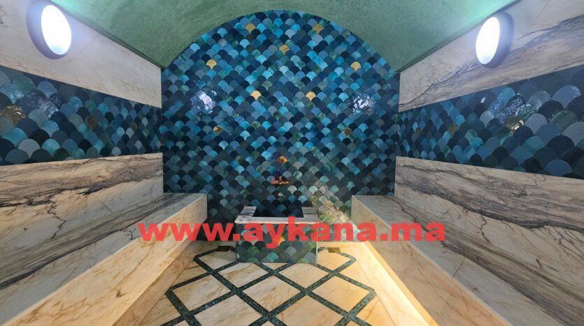 Villa 3350 m² f El Menzeh — 10