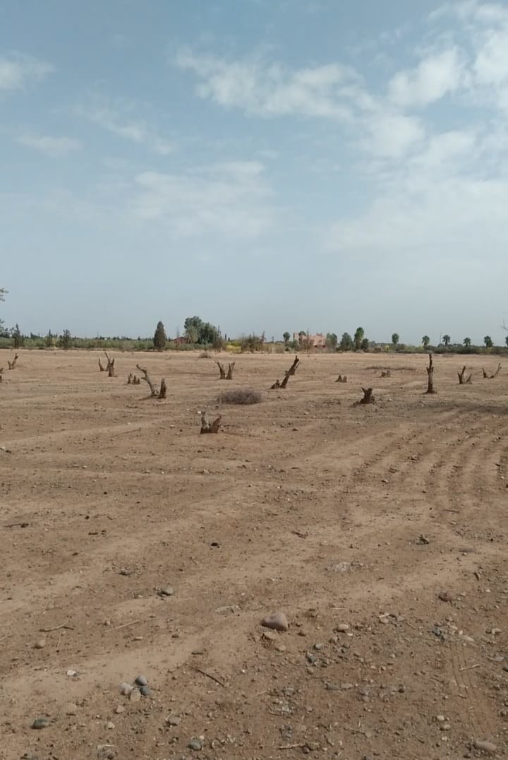 Terrain Titré 28 Hectares 3200 m² à Vendre.Route Ouarzazate Kms 9 — 3