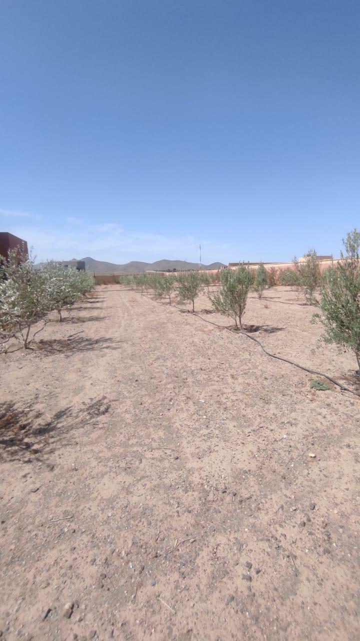 Terrain 100 m² à Route de Casablanca — 2