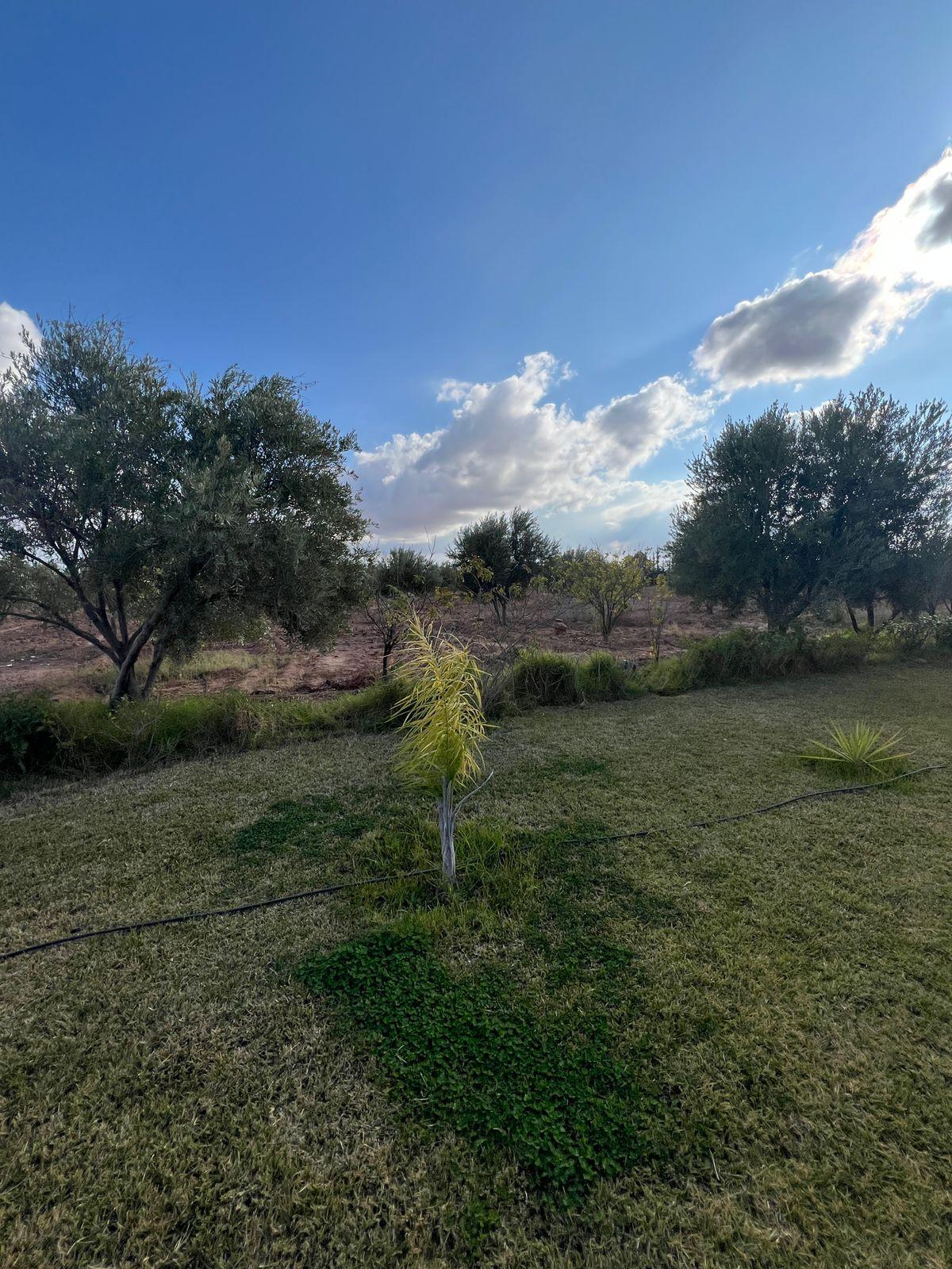 Terrain 600 m² f Route d'Ourika — 10