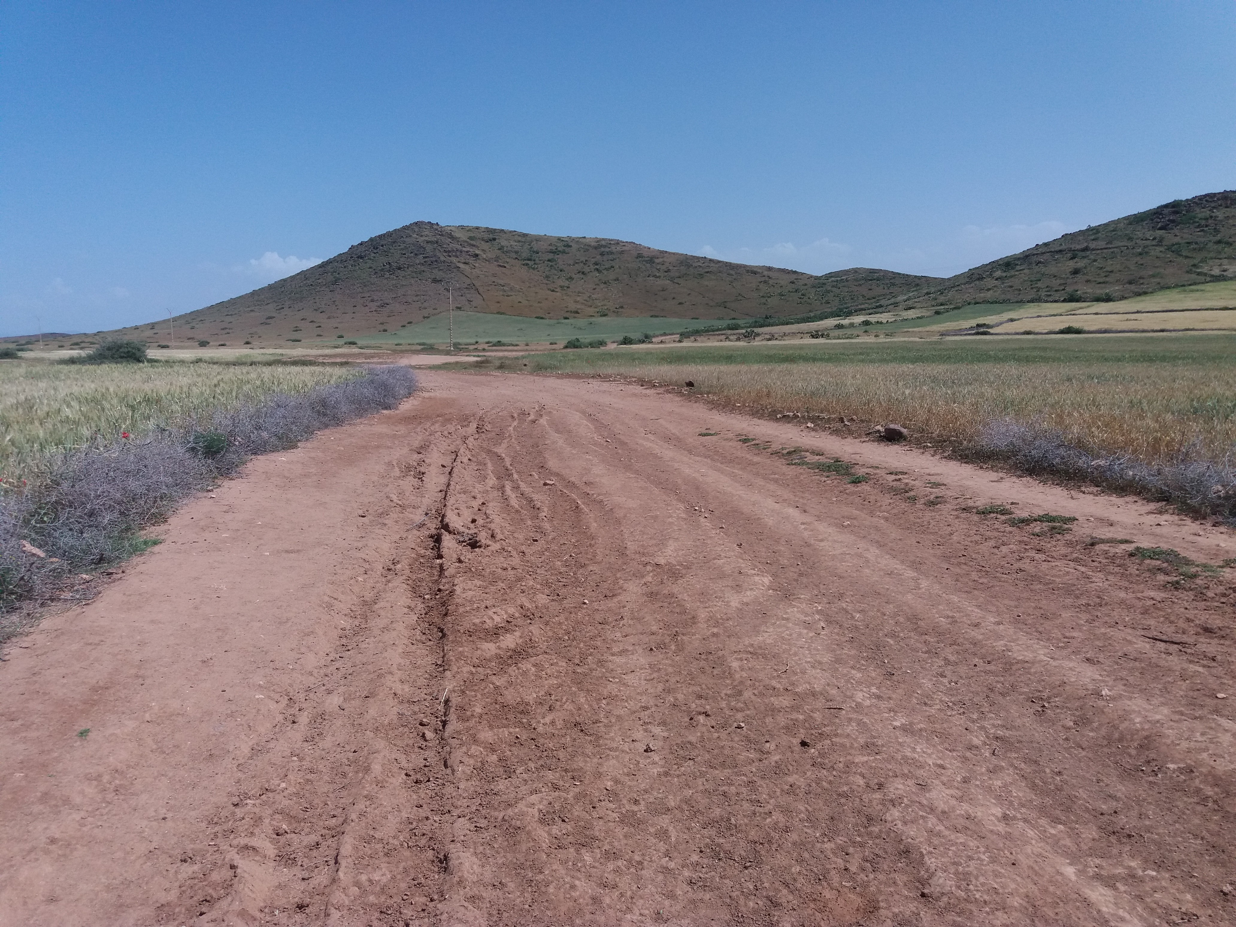 Terrain Agricole 75 hectares 4690 m² à Vendre 22 kms Marrakech — 2