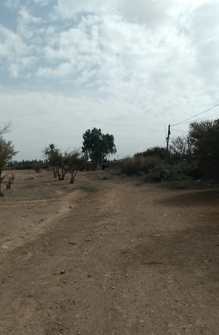 Terrain Titré 28 Hectares 3200 m² à Vendre.Route Ouarzazate Kms 9 — 2