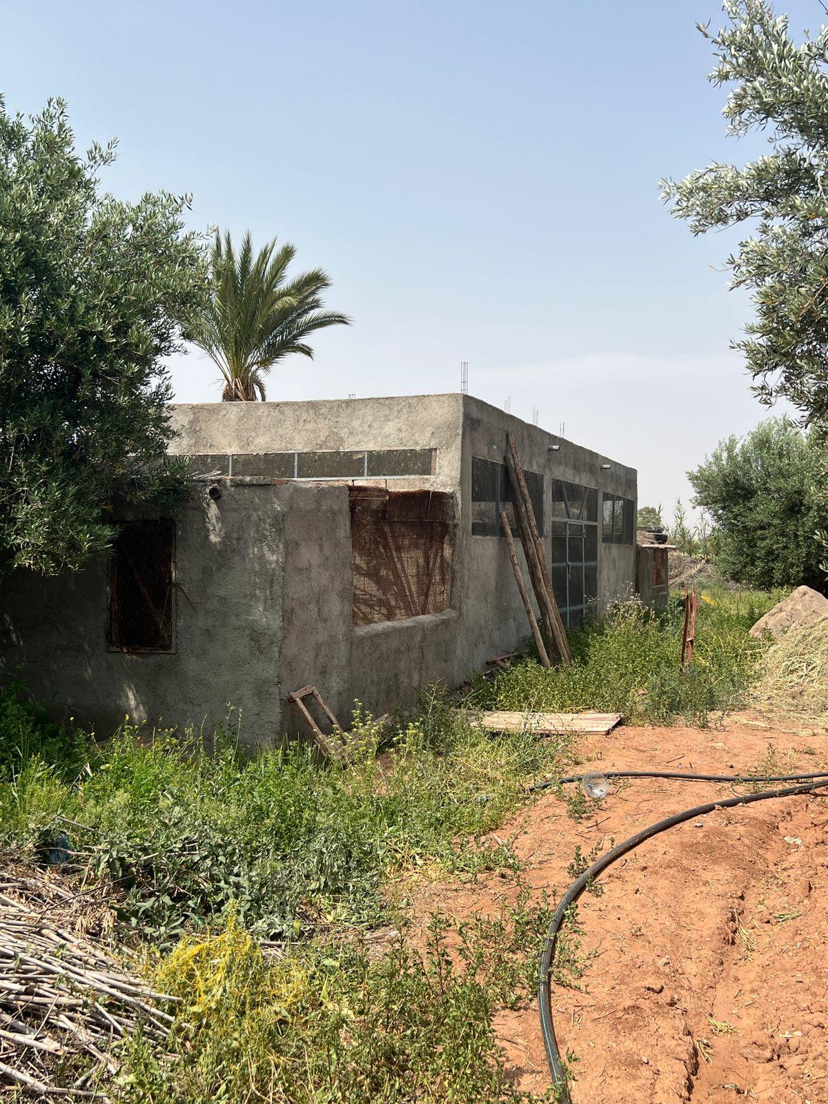 Ferme 2 hectares à vendre route de Fès Marrakech — 4