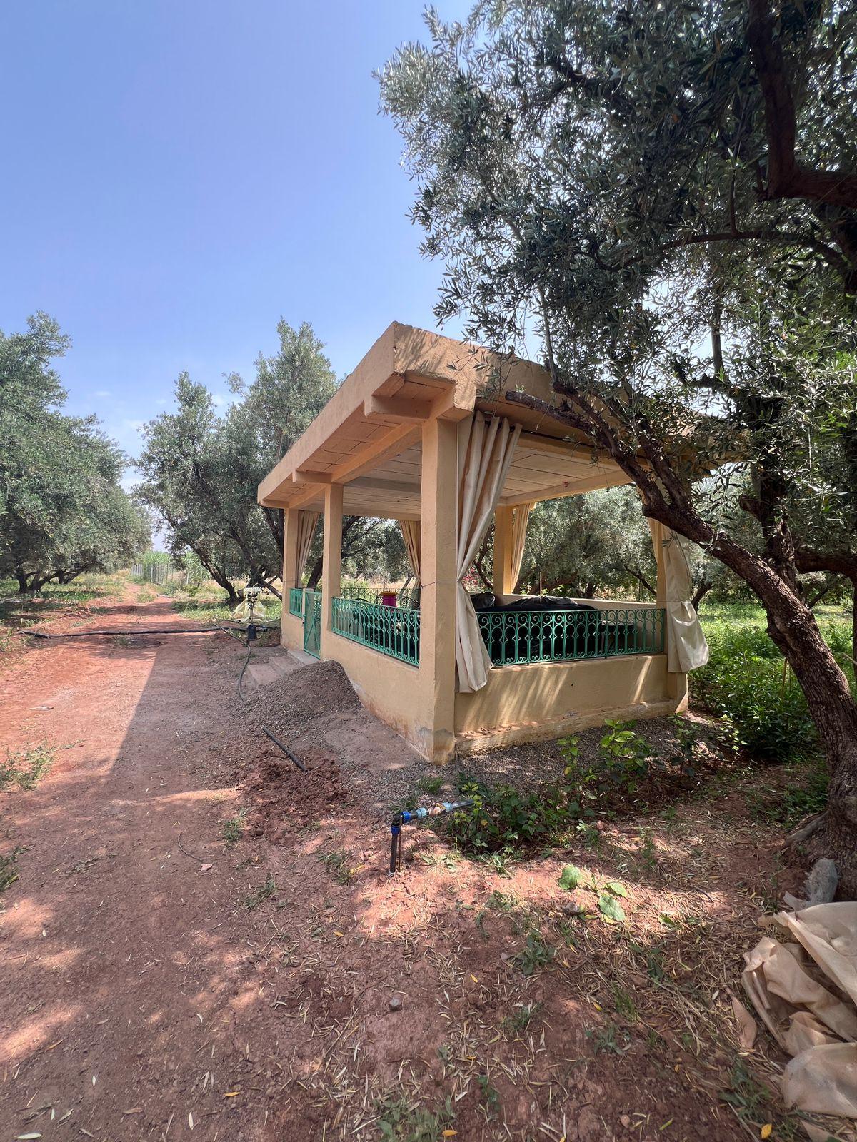 Ferme 2 hectares à vendre route de Fès Marrakech — 6