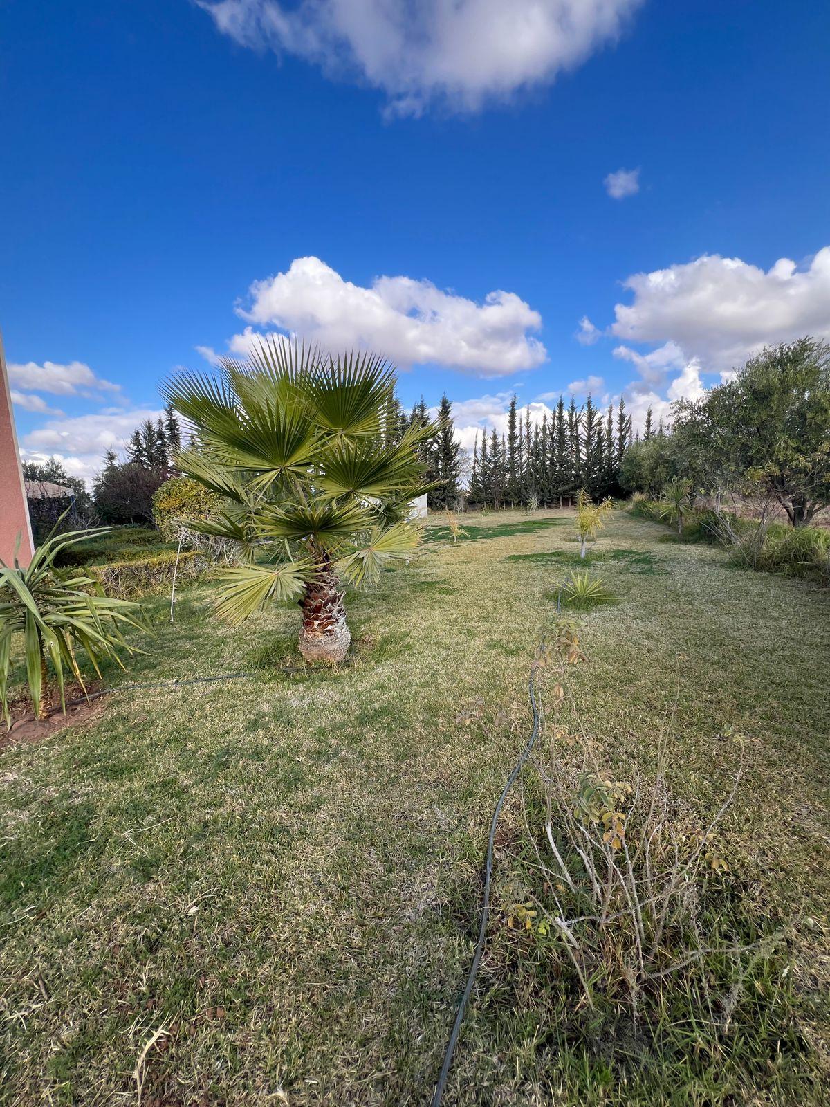 ferme à vendre 20600m²  Rte de l'OURIKA MARRAKECH — 2