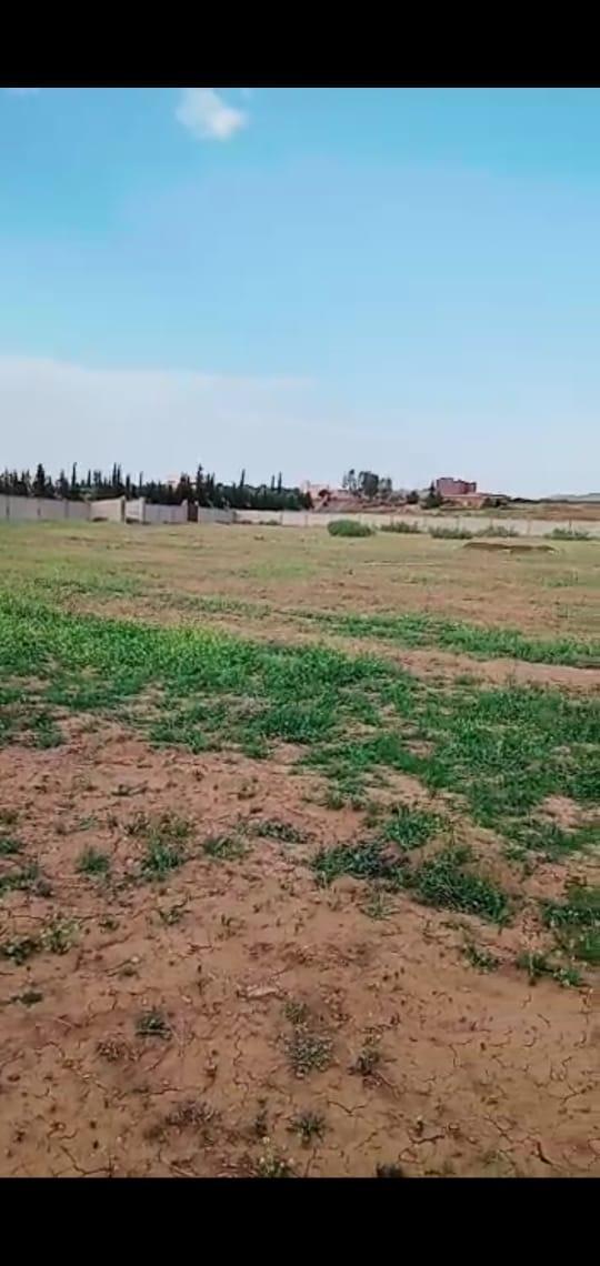 Terrain 21 Hectares kms 14 R. Ourika — 2