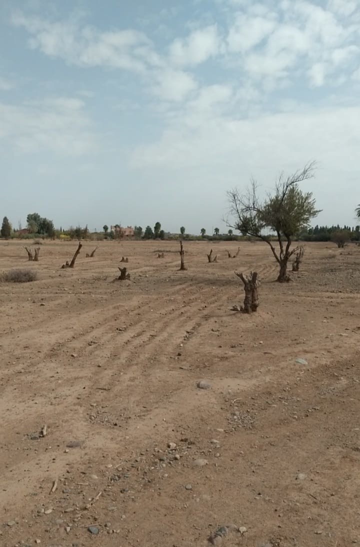 Terrain Titré 28 Hectares 3200 m² à Vendre.Route Ouarzazate Kms 9