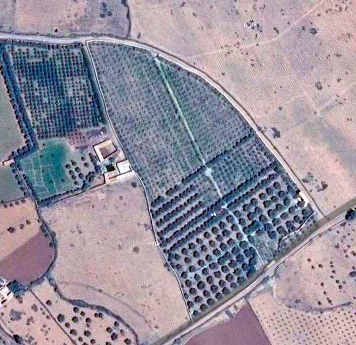 Exceptionnelle Ferme de 3,5 Hectares sur la Route de Fès — 4