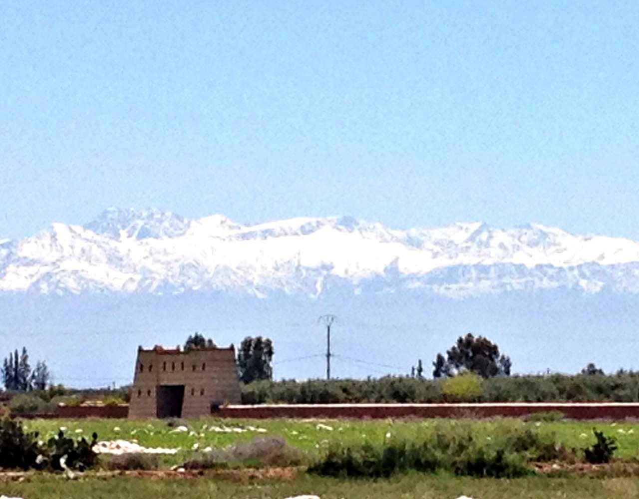 Exceptionnelle Ferme de 3,5 Hectares sur la Route de Fès — 6