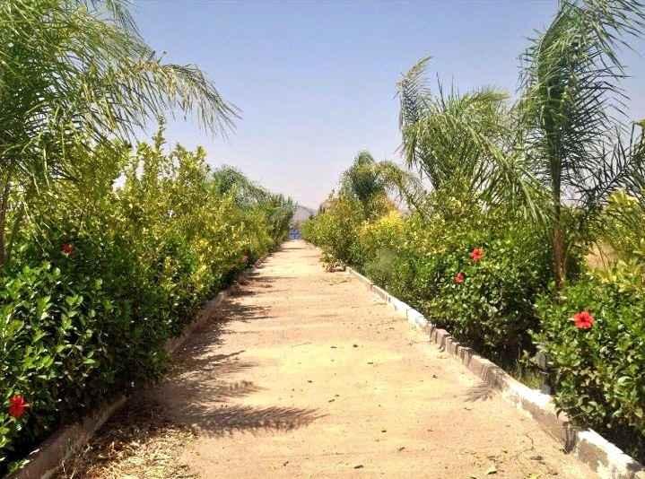 Villa 35000 m² à Route de Fès — 10