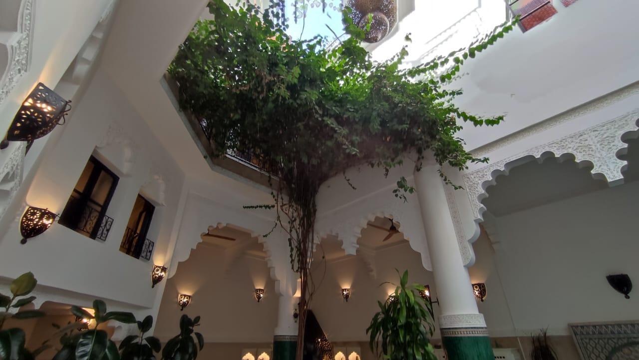 Vente d'un Riad de Prestige aux Finitions Haut de Gamme