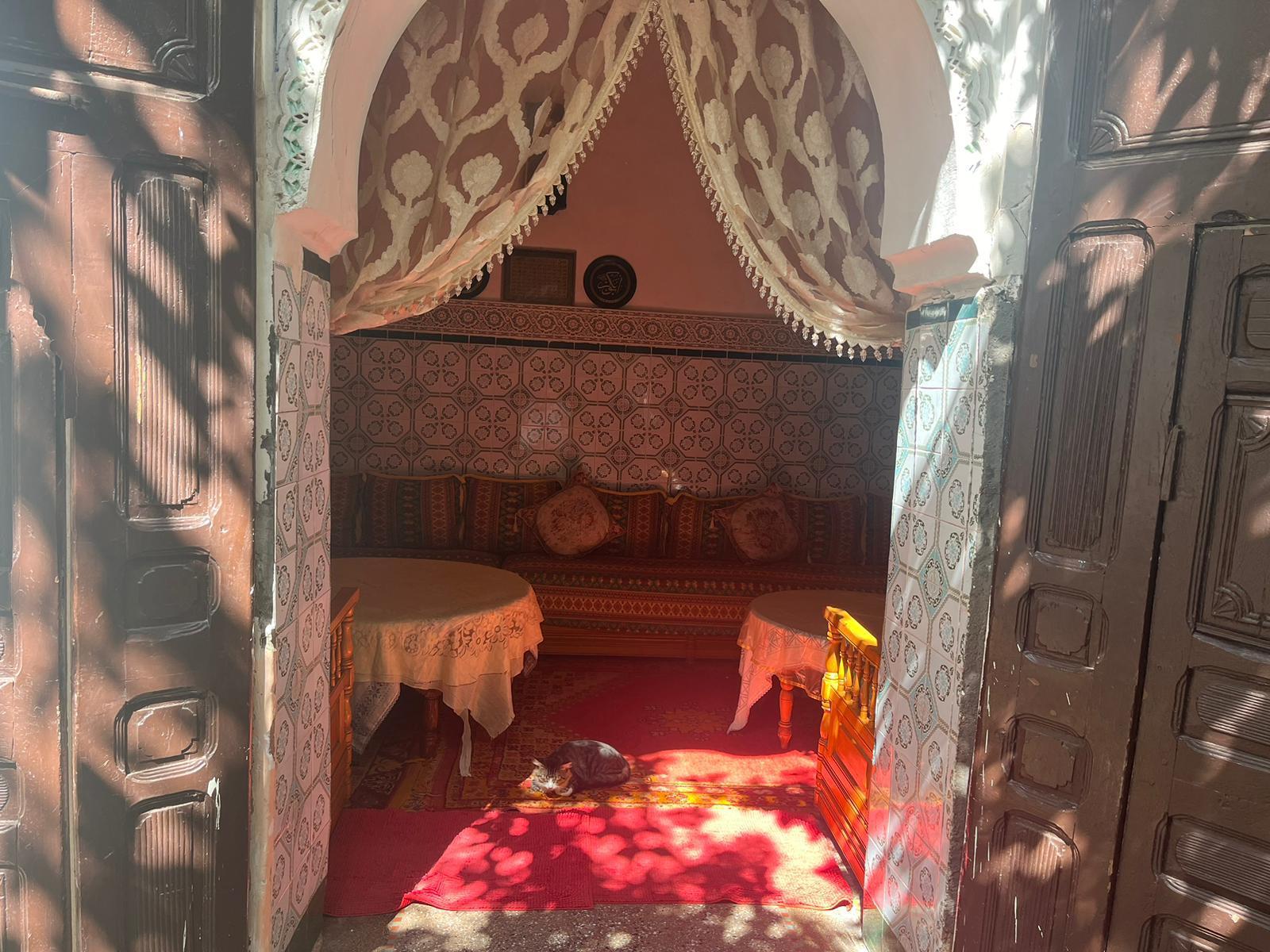 Investissez dans l'Authenticité : Riad à Rénover — 4