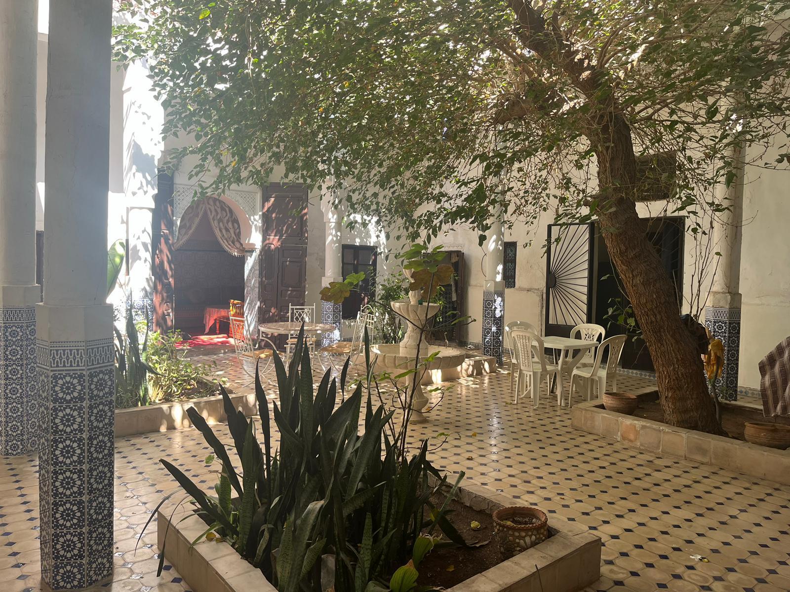 Investissez dans l'Authenticité : Riad à Rénover — 6
