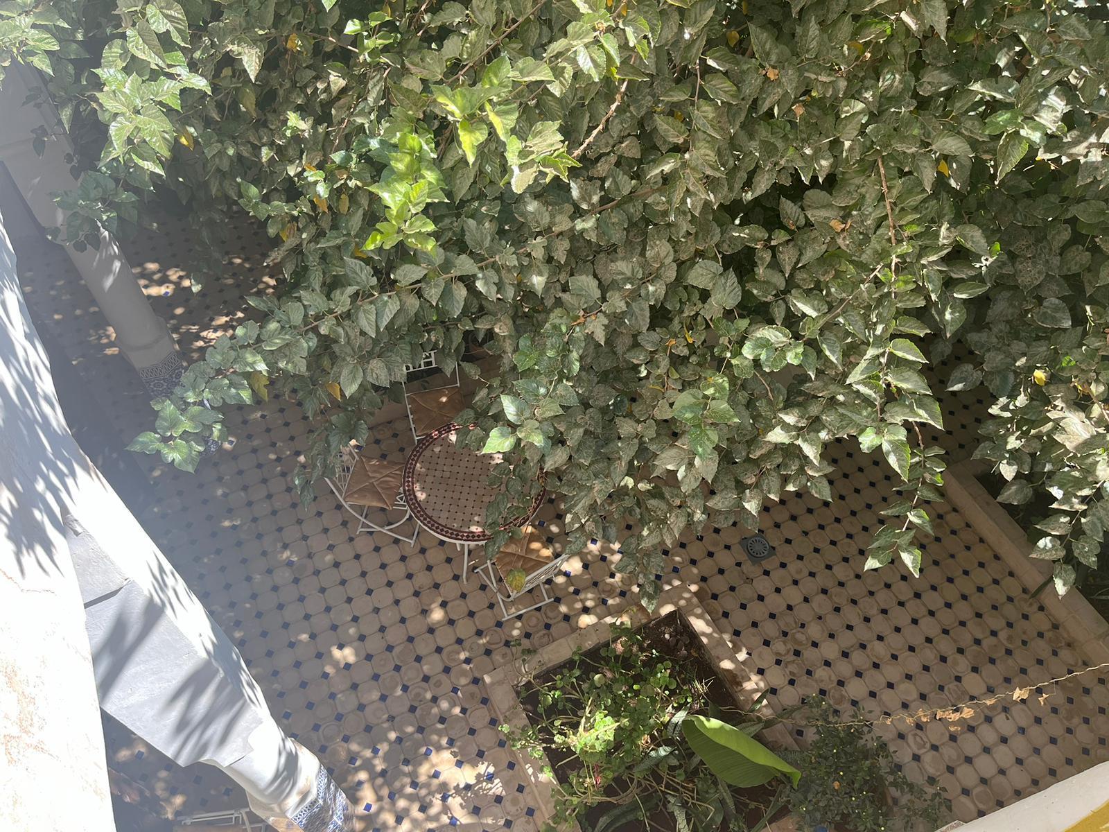 Investissez dans l'Authenticité : Riad à Rénover — 2