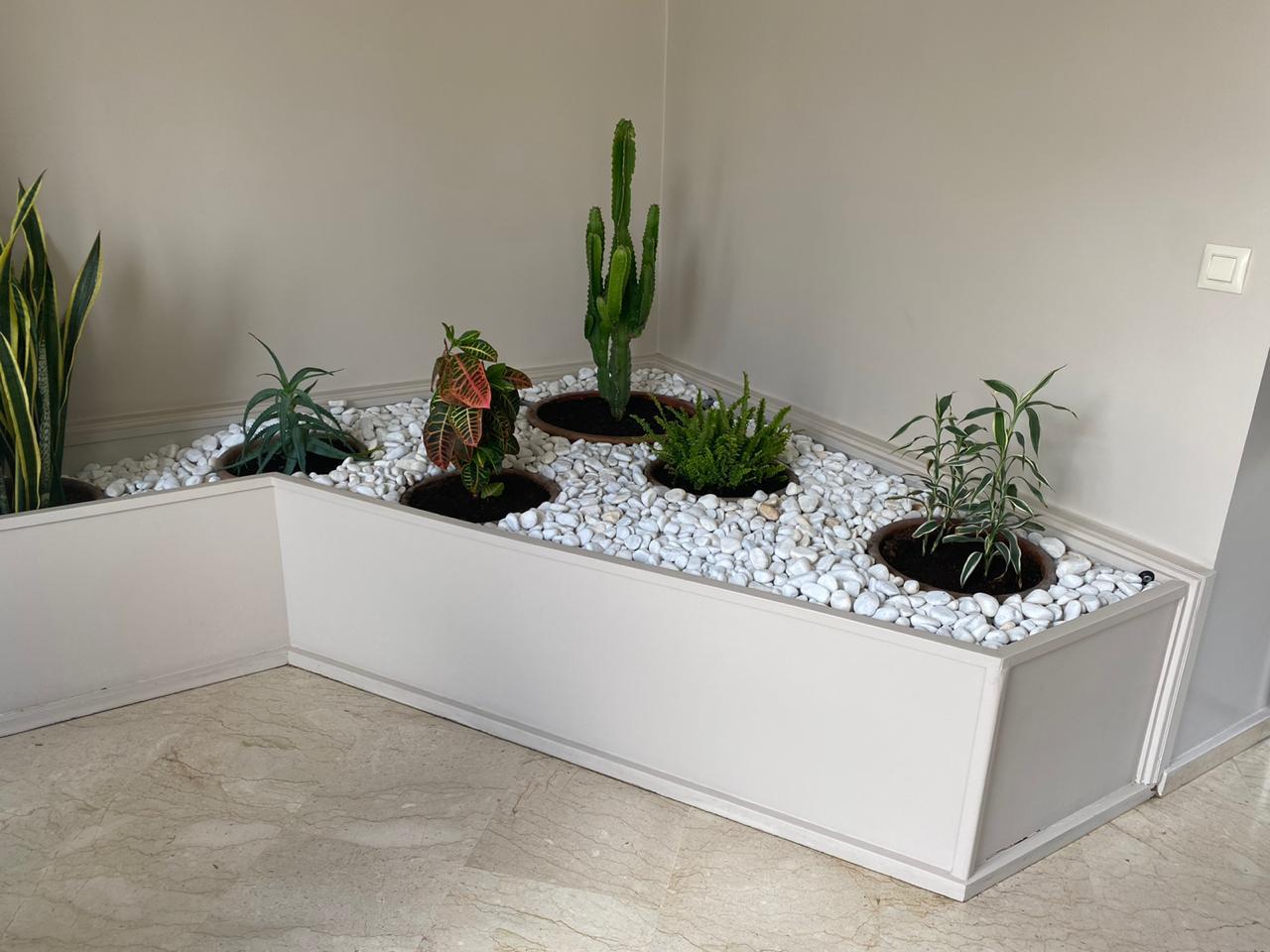 Location Appartement Meublé Racine Casablanca — 5