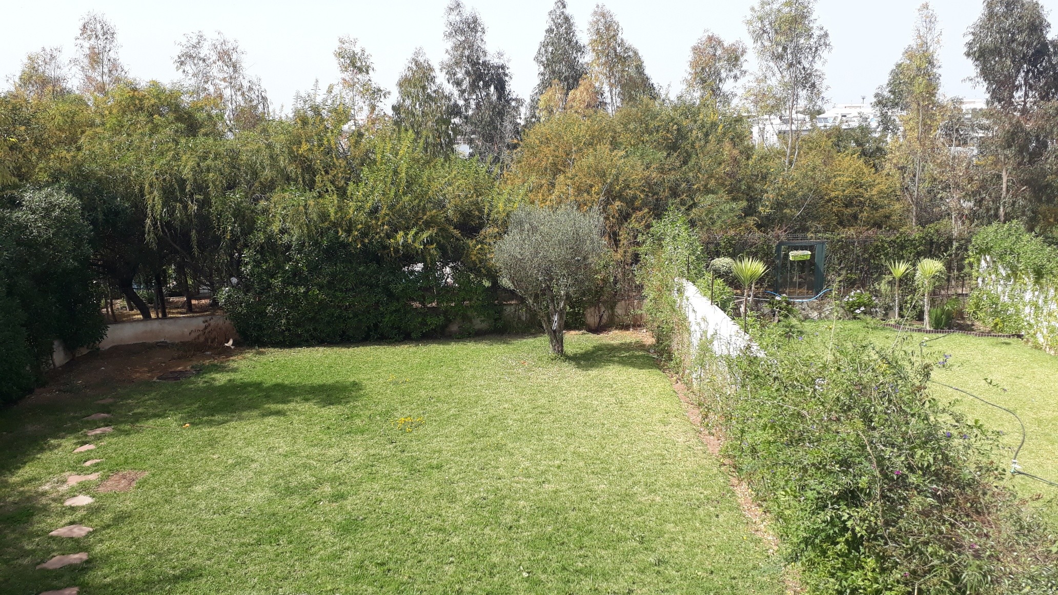 Vente Villa Vide Bouskoura — 3