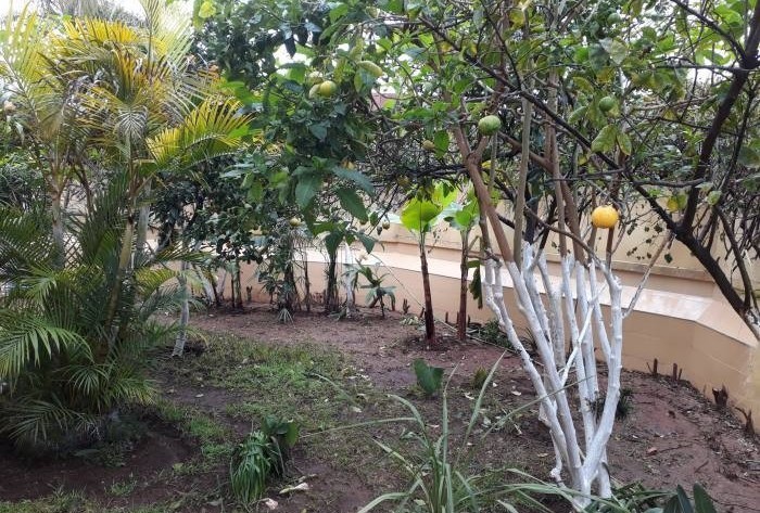 Location Villa quartier Oasis Casablanca — 2